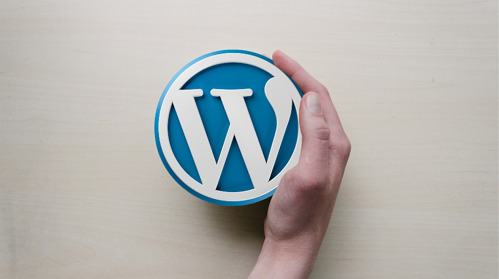 Падение авторитета: попытка WordPress Foundation получить контроль над брендом провалилась и добавила еще одну юридическую неудачу в карьере главы компании Мэтта Мулленвега